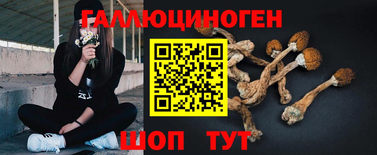 Костомукша  Галлюциногенные грибы Psilocybe  Вход с VPN 